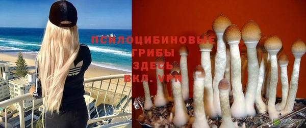 каннабис Алексин