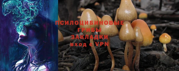 наркотики Алексеевка
